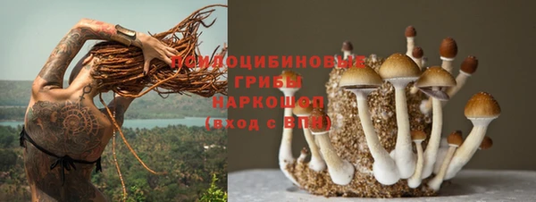 прущая мука Аркадак