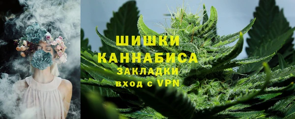 дживик Арсеньев