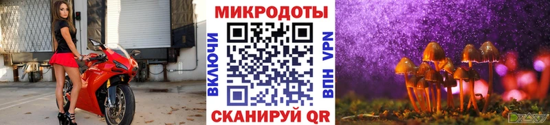 Купить закладки  Гулькевичи  Псилоцибиновые грибы Cubensis 