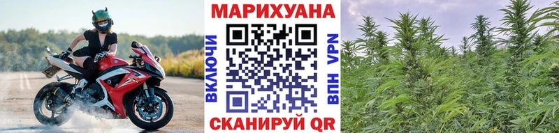 Купить где Гулькевичи Канабис семена